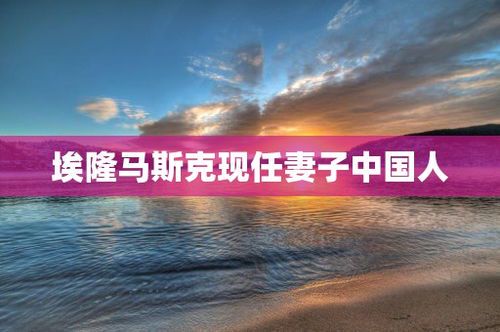 马斯克中国妻子张默的成长经历与事业成就