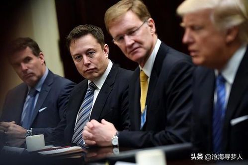 马斯克与特朗普:科技与政治帝国的碰撞与裂变