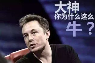 马斯克的八字命理分析