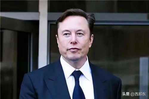 马斯克为何对中国展现出如此积极的态度?