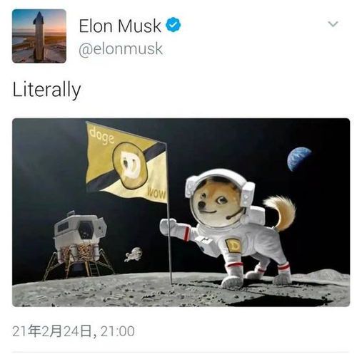马斯克最新动态:狗狗币未来走势引热议