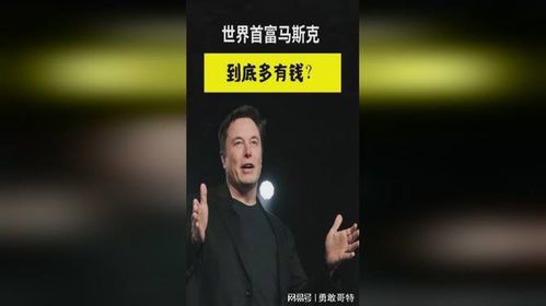 马斯克的财富现状:全球首富的资产解析
