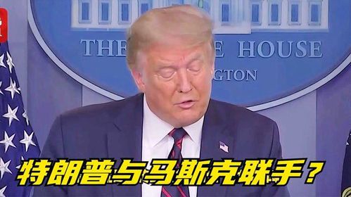 马斯克与特朗普:美国社会分裂的潜在催化剂