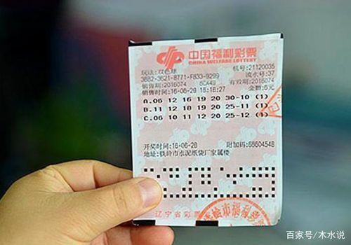 马斯克药检风波与双色球开奖:跨界话题的荒诞与思考