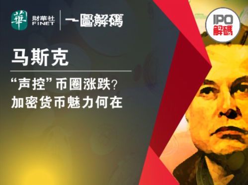 马斯克的数字密码:生日图背后的科技哲学