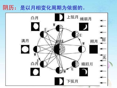 马斯克的农历生日之谜