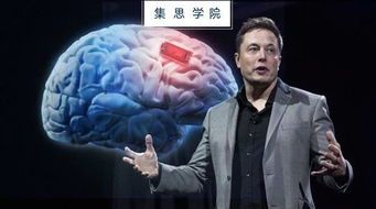马斯克的十大黑科技揭秘:颠覆未来的创新力量