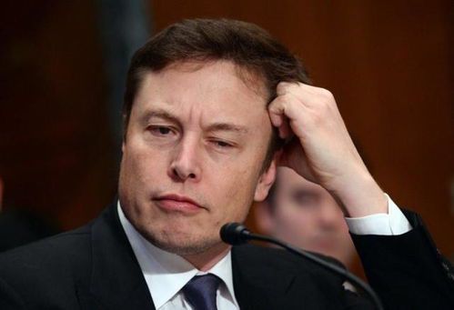 科技巨擘的青春印记：埃隆·马斯克的早年风采