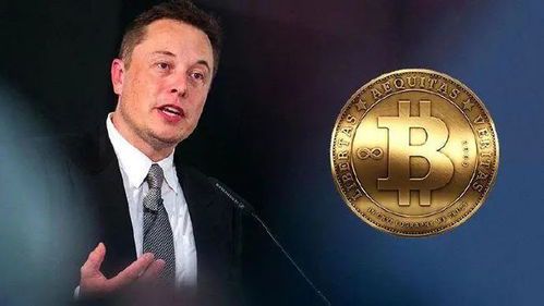 马斯克的财富究竟有多少?揭秘全球首富的资产版图