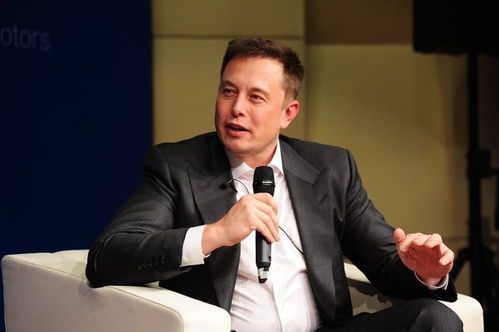 马斯克的生肖与星座解析:科技巨头的性格密码