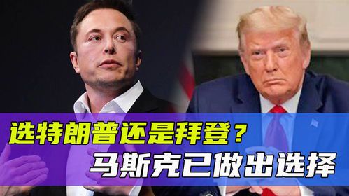 马斯克再掀科技革命:揭秘最新重磅计划