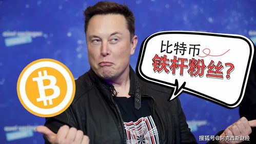 马斯克2021年财富与商业版图解析