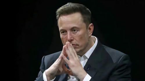 马斯克的家族背景:父母对他的影响