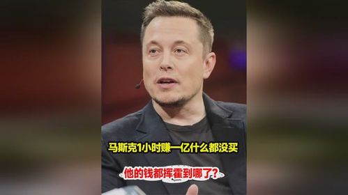 埃隆·马斯克的财富版图:揭秘全球首富的资产构成