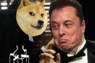 马斯克是否购买了SHIB？揭秘真相与市场影响