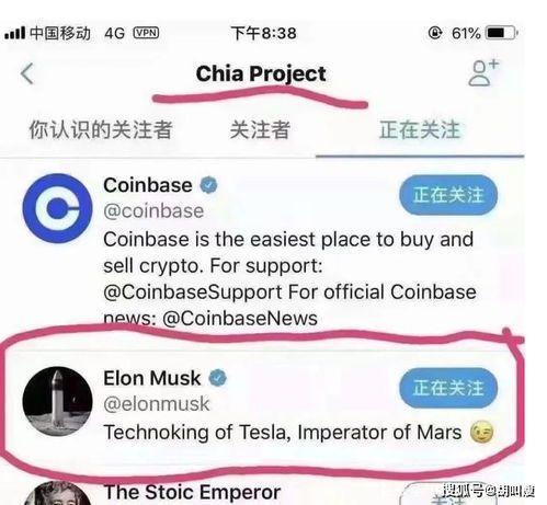马斯克与XCH：探索加密货币领域的新动向