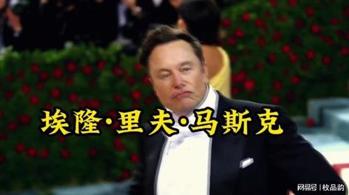 埃隆·马斯克:颠覆未来的科技狂人