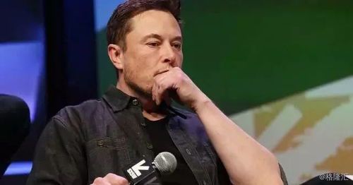 特斯拉CEO马斯克与伴侣:事业与家庭的平衡之道