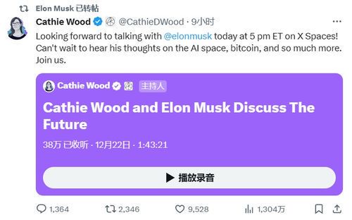 马斯克与支付的革命:从特斯拉到X的金融野心