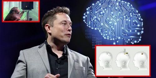 马斯克脑机接口新突破:人类与机器融合的未来已来?