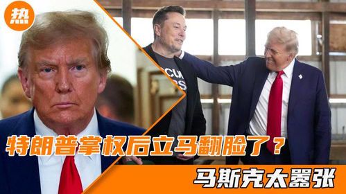 马斯克与特朗普公开决裂：昔日盟友为何反目成仇？