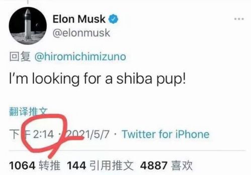 马斯克推特再掀加密货币风潮：SHIB成为焦点