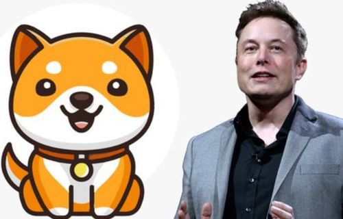 马斯克与DaddyDoge：加密货币世界的新风向标