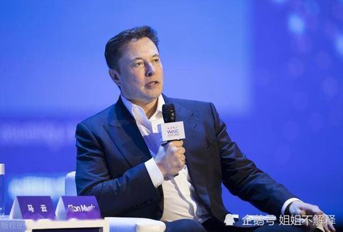 马斯克的家产:科技巨头的财富版图