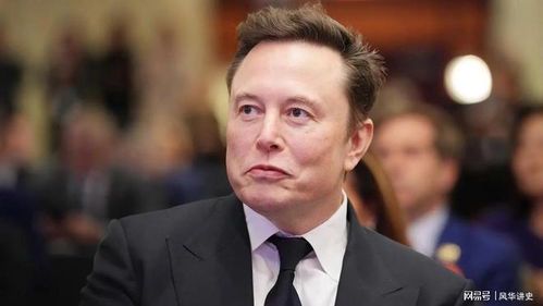 科技巨擘与争议先锋：美国的马斯克