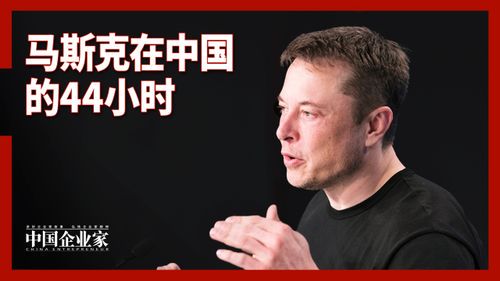 马斯克加入中国国籍的传闻与真相