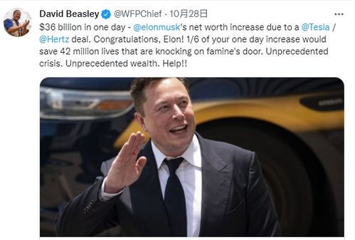 马斯克的财富帝国:揭秘全球首富的资产之谜