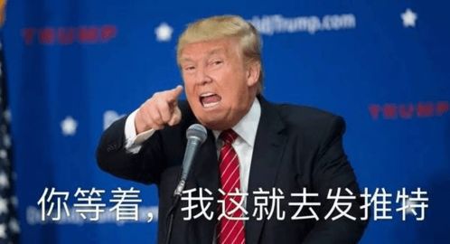 马斯克与特朗普关系转变：从惺惺相惜到公开对立