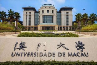 马斯克透露创办新型大学计划：颠覆传统教育模式
