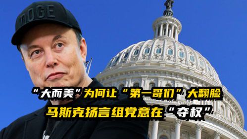 马斯克的政治立场解析
