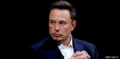 马斯克与特朗普:谁才是真正的财富王者?