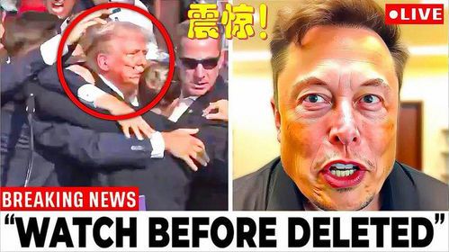 马斯克与特朗普:复杂关系的背后真相