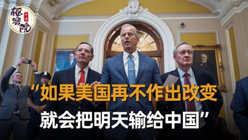 马斯克与美国政党合法性争议解析