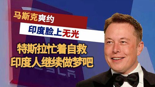 马斯克与美国政治：科技巨头的党派倾向