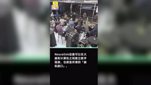 马斯克直播现场:科技狂人的真实一面