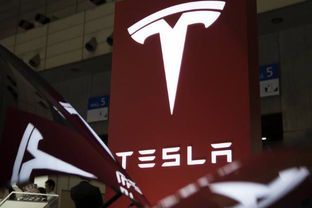科技狂人马斯克:如何以颠覆性思维引领全球潮流