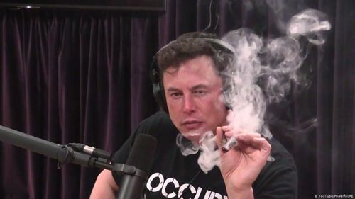 马斯克与XCH：探索加密货币领域的新动向