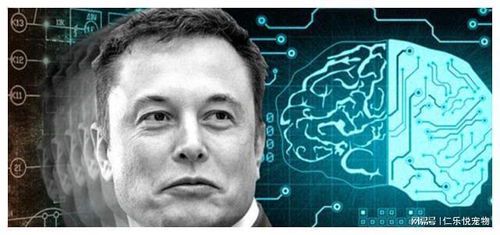 **马斯克人脑计划：未来科技与伦理的碰撞**