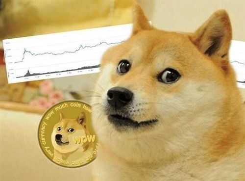 狗狗币背后的推手：马斯克为何钟情于DOGE？