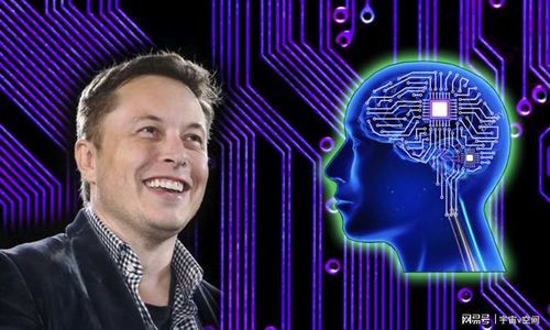 马斯克的星辰大海:人类未来的颠覆者