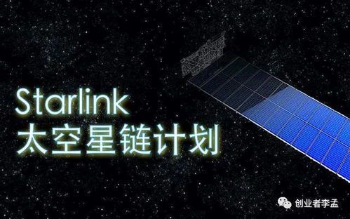 马斯克的星座与属相：揭秘科技巨头的性格密码