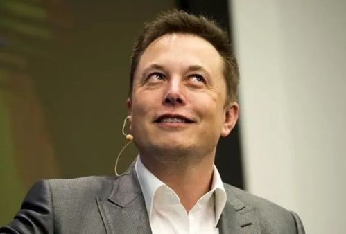 马斯克的妻子张默的家乡与成长背景揭秘
