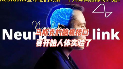 马斯克的脑机接口：盲人重见光明的希望？