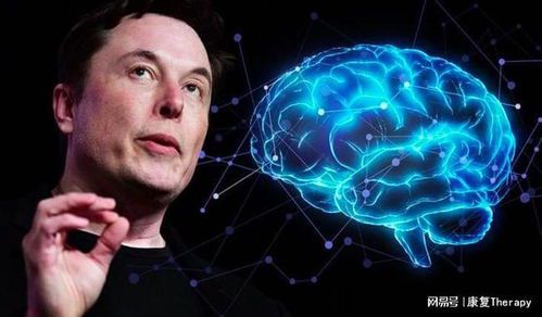马斯克芯片计划:颠覆未来的脑机接口革命