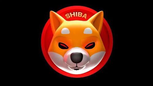 马斯克与SHIB币最新动态：市场反应与未来展望