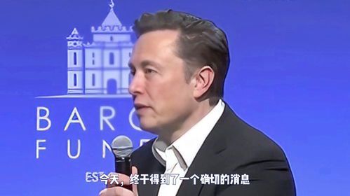 马斯克慈善捐赠盘点:科技巨头的慷慨之举